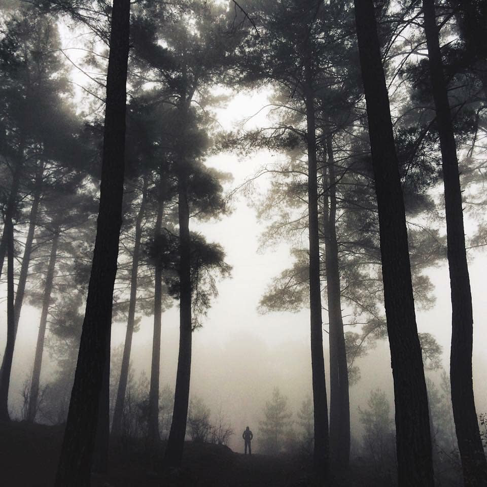 Fotoğraf