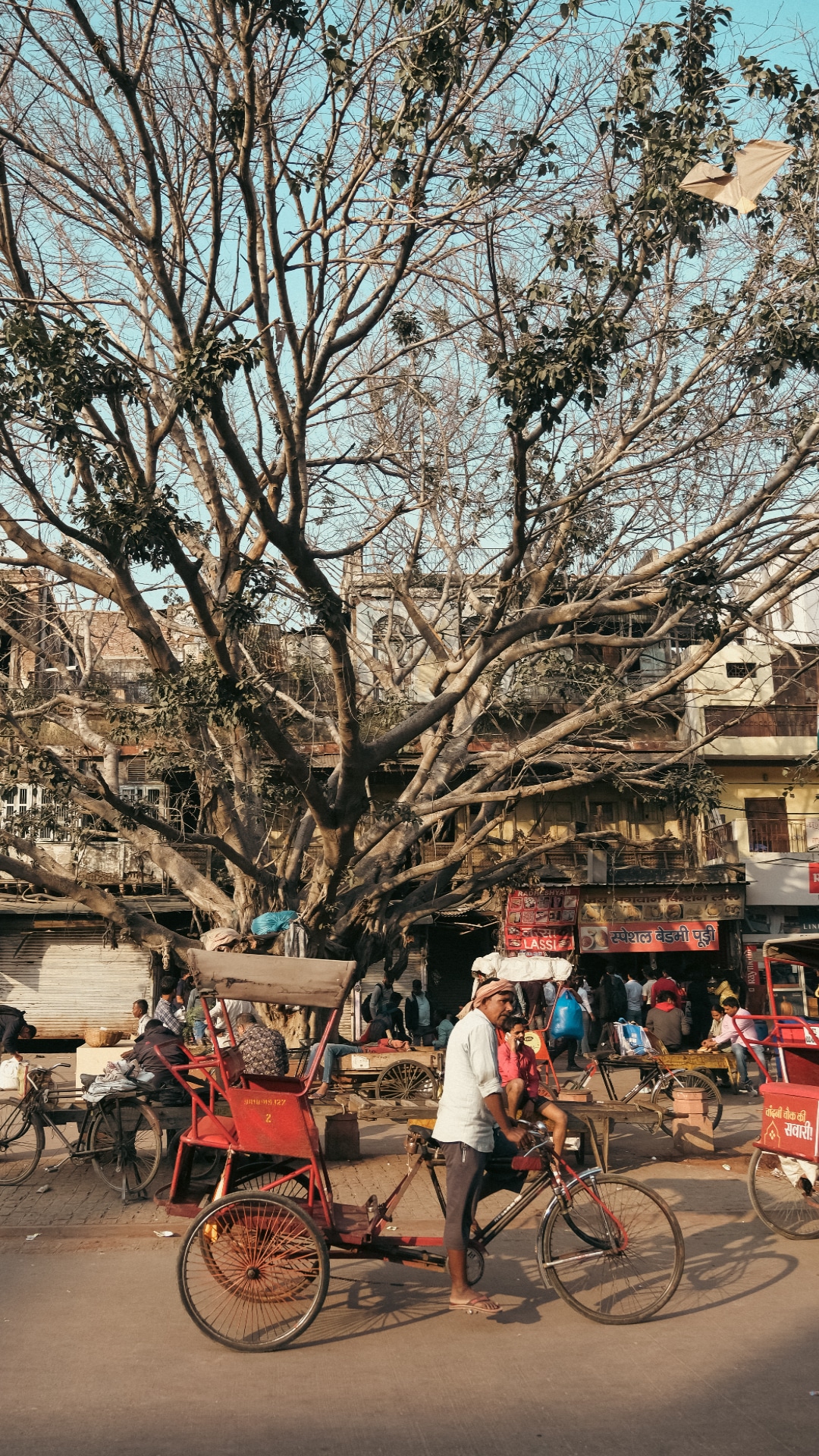 Fotoğraf