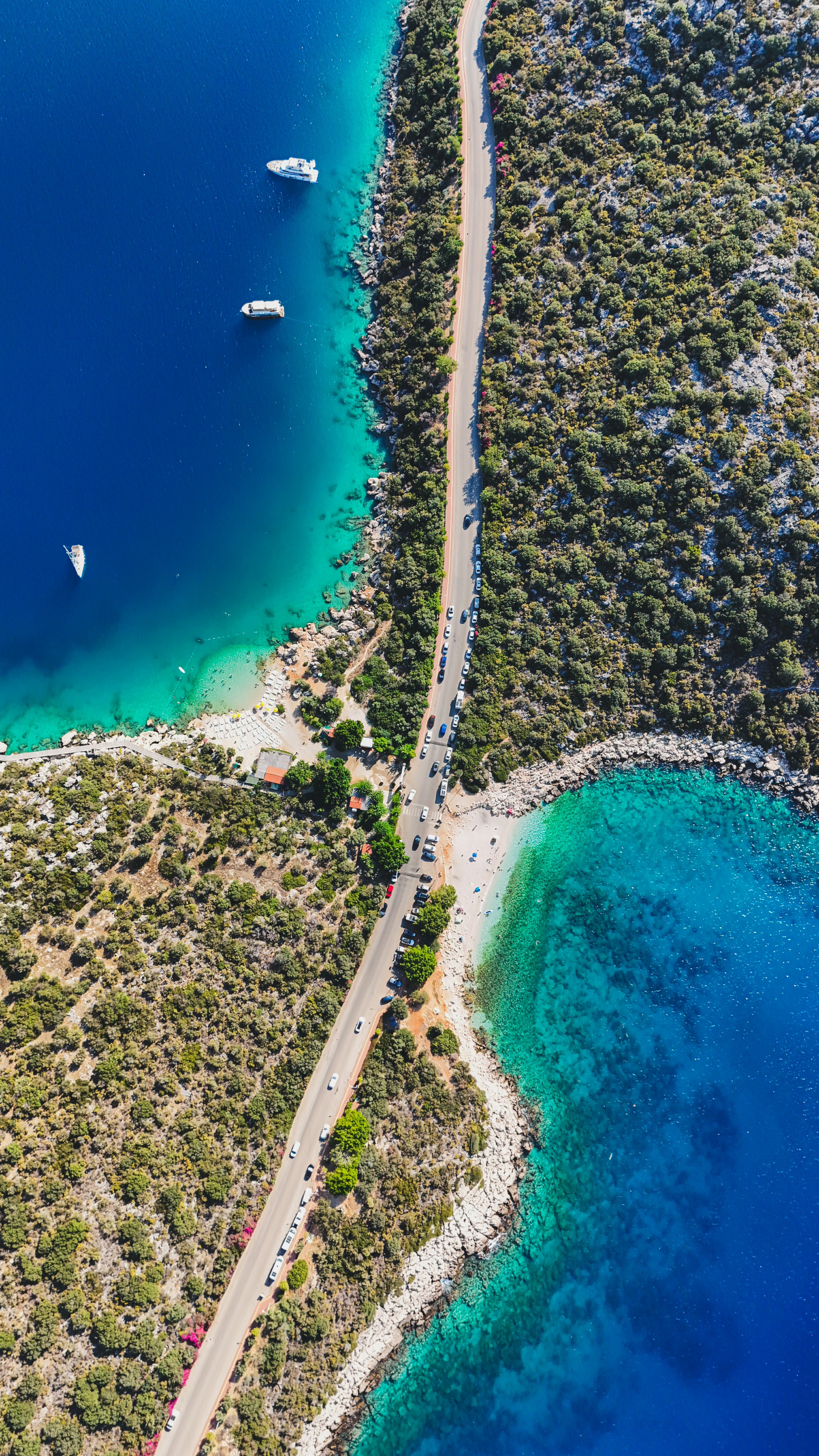 Fotoğraf