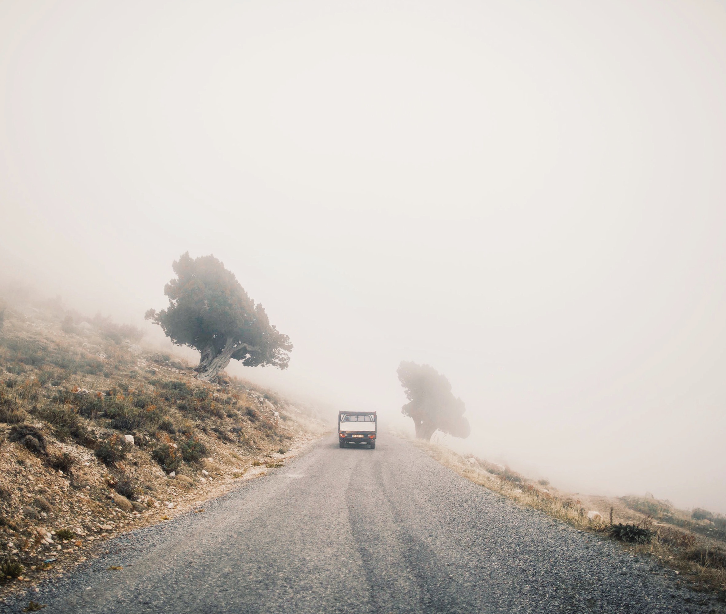 Fotoğraf