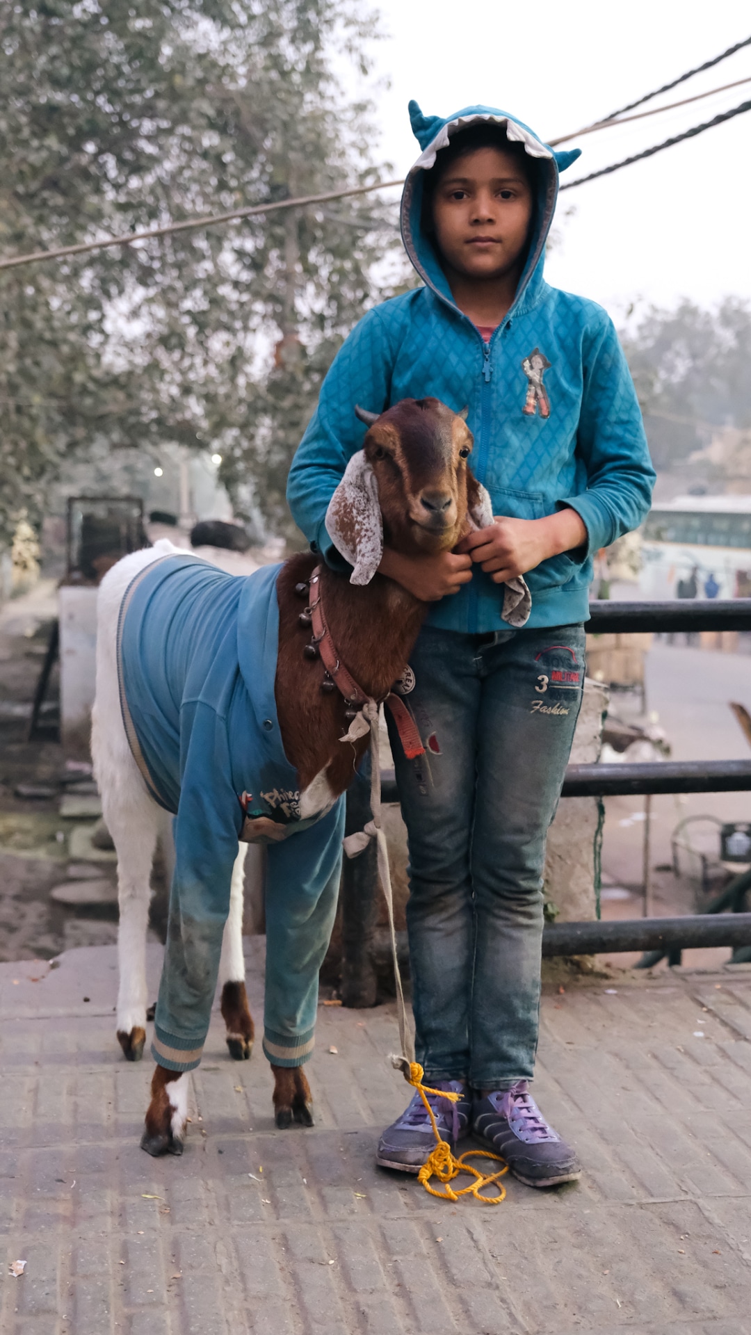 Fotoğraf