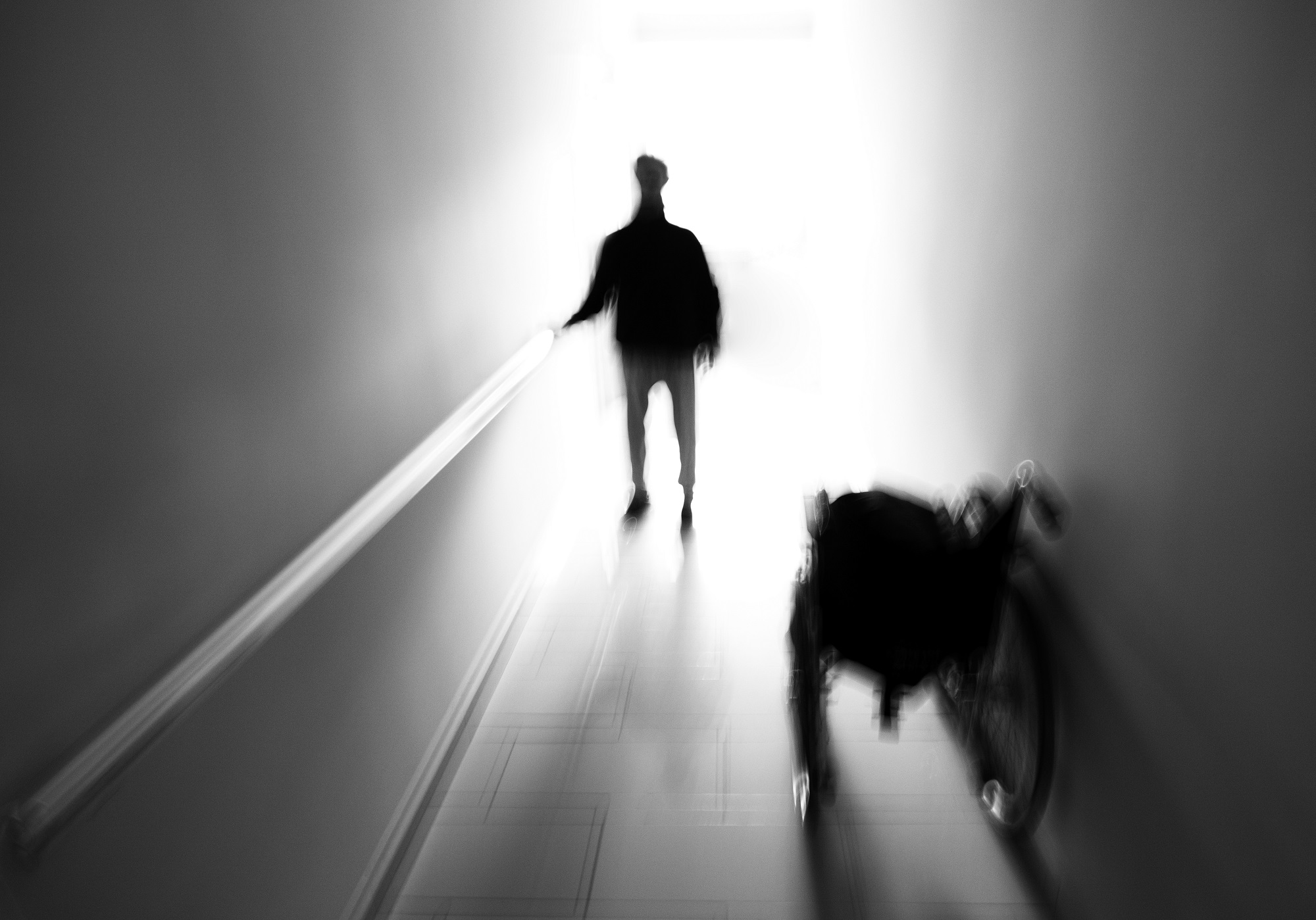 Fotoğraf
